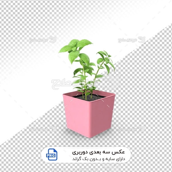 عکس برش خورده سه بعدی گیاه نعنا