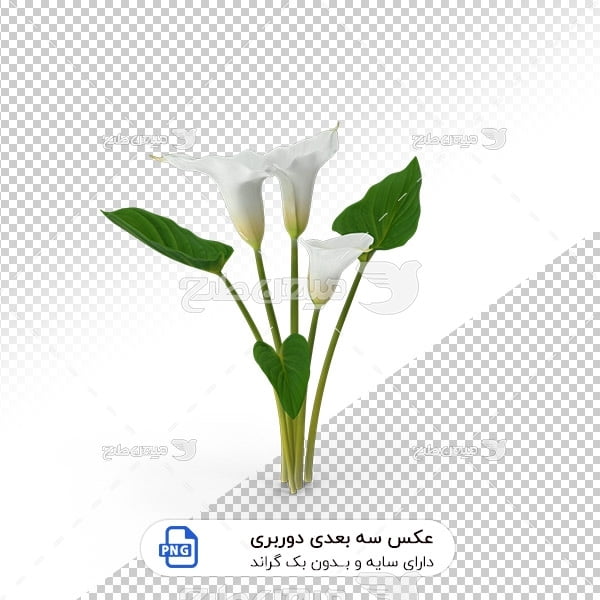 عکس شاخه گل