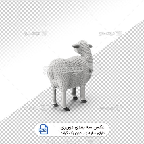 عکس برش خورده سه بعدی گوسفند