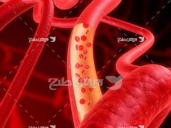 عکس گلبول های خون