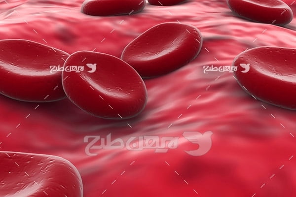 عکس گلبول های خون