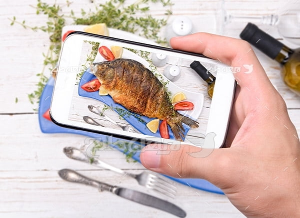 عکس ماهی،گوشت ماهی با موبایل
