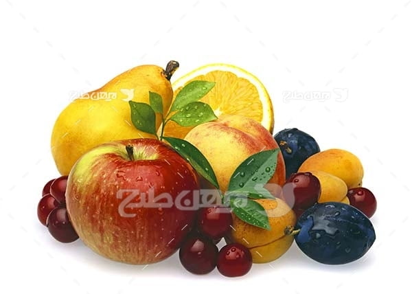 عکس انواع میوه