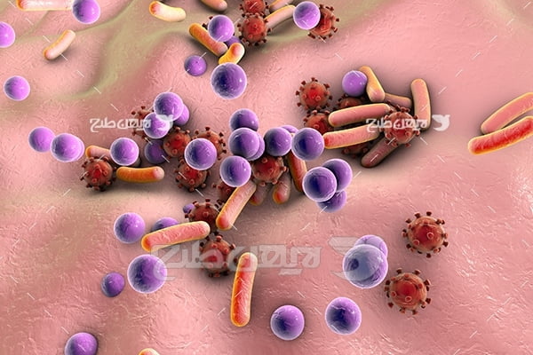 عکس گلبول های خون و ویروس