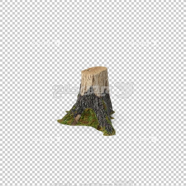 تصویر سه بعدی دوربری تنه درخت قطع شده