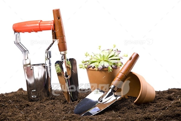 عکس گلدان،کفش و لوازم کشاورزی و خاک