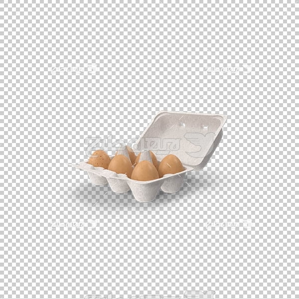 تصویر سه بعدی دوربری بسته تخم مرغ