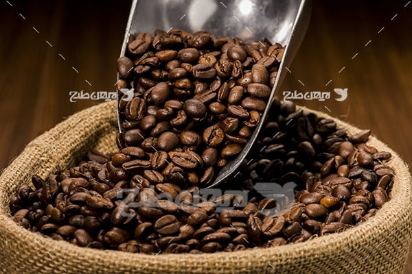 عکس دانه های  قهوه