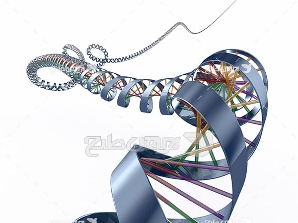 عکس دی ان ای