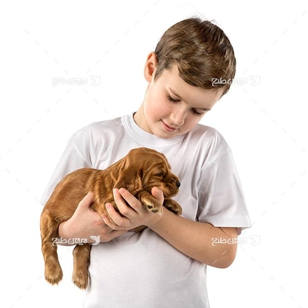 تصویر پسر بچه و سگ