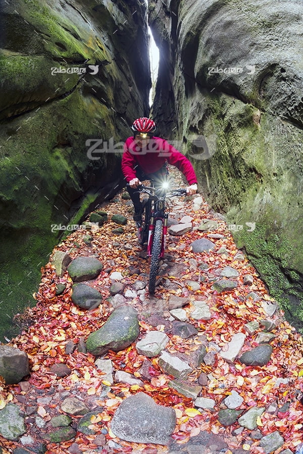 عکس دوچرخه سواری در طبیعت