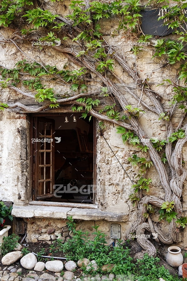 عکس پنجره خانه قدیمی در بین درختان