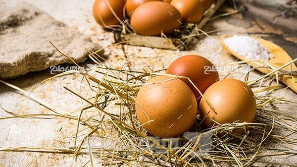 بک گراند تخم مرغ