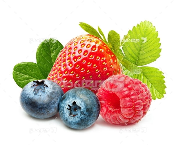 عکس میوه توت و توت فرنگی و بلوبری یا توت آبی