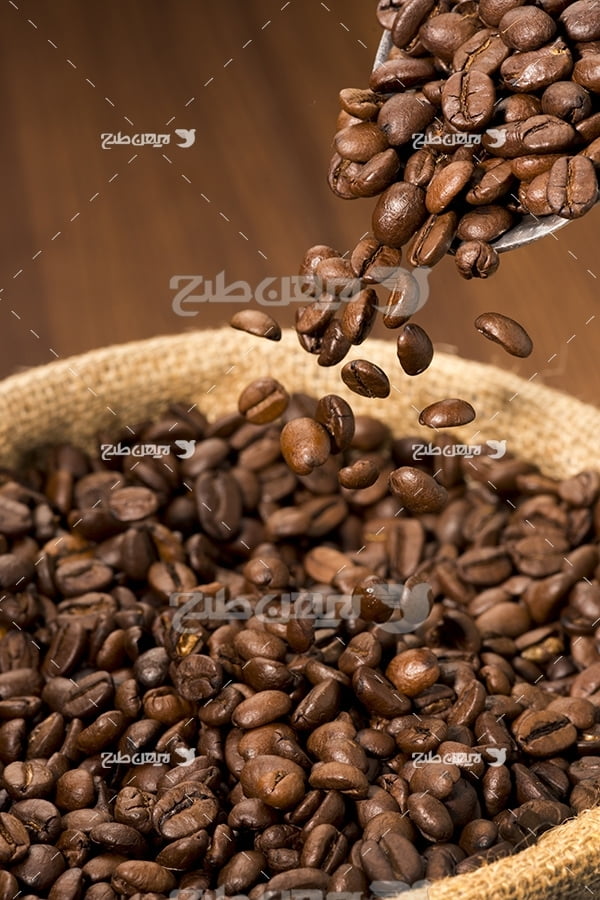 عکس دانه های قهوه