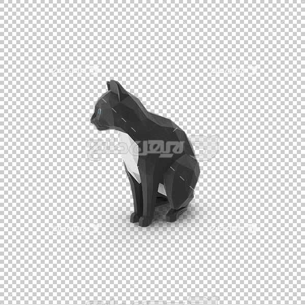 تصویر سه بعدی دوربری گربه سیاه