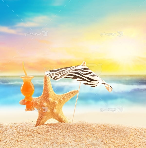 عکس ستاره دریایی و ساحل