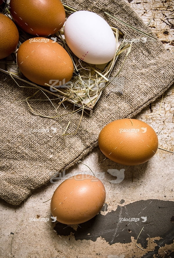 بک گراند تخم مرغ