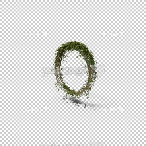 تصویر سه بعدی دوربری حلقه گل
