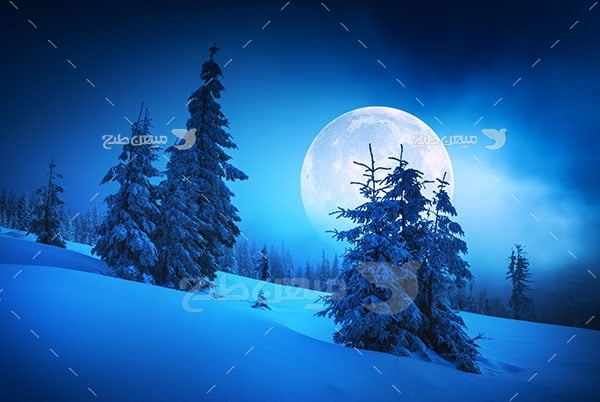 عکس جنگل برفی و ماه