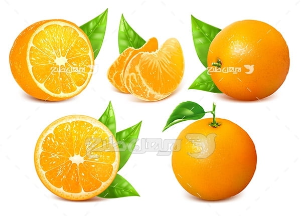 وکتور پرتقال