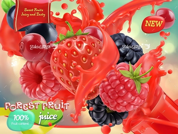 طرح وکتور گرافیکی با موضوع میوه توت وفرنگی و توت سیاه