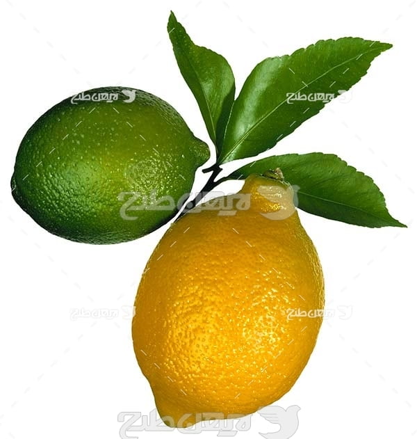 عکس میوه لیمو
