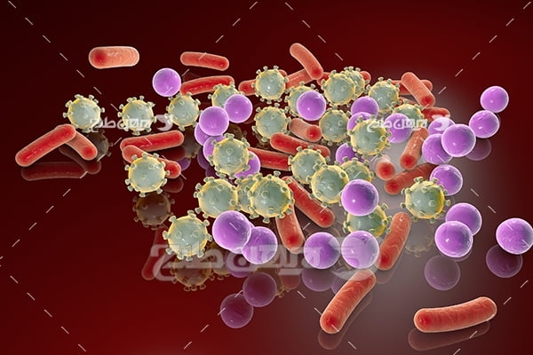 عکس گلبول های خون و ویروس
