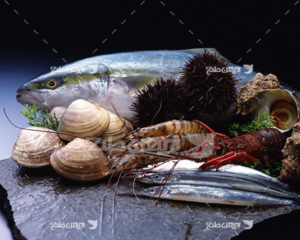 عکس ماهی،گوشت ماهی و میگو