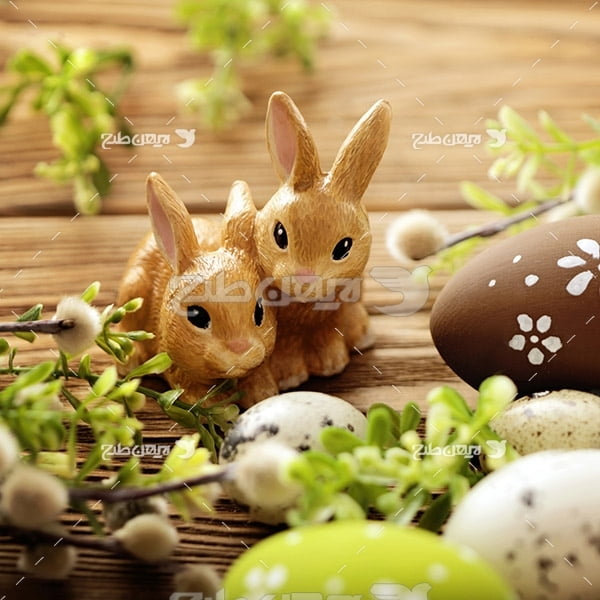 بک گراند تخم مرغ و خرگوش