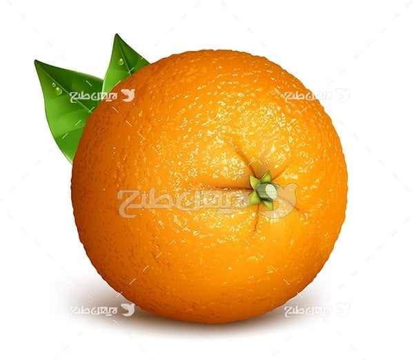 وکتور پرتقال