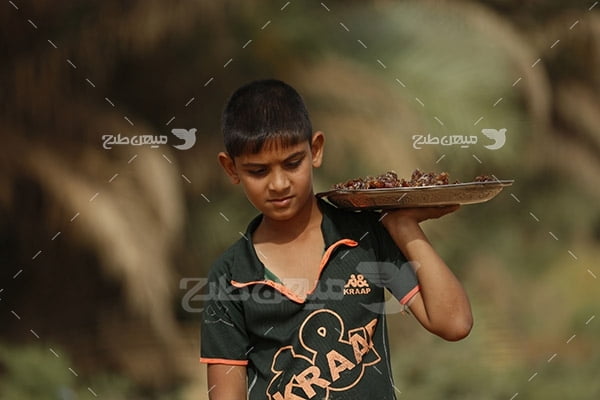 عکس کودک و خرمای صلواتی در پیاده روی اربعین حسینی