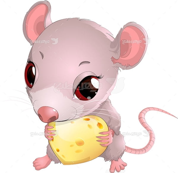 وکتور موش