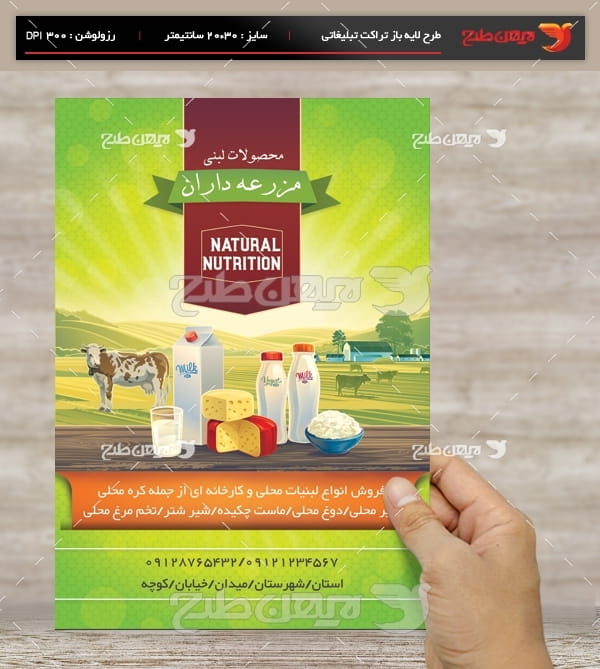 طرح لایه باز تراکت و پوستر تبلیغاتی محصولات محلی و لبنی