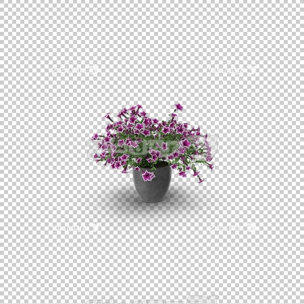 تصویر سه بعدی دوربری گل و گلدان