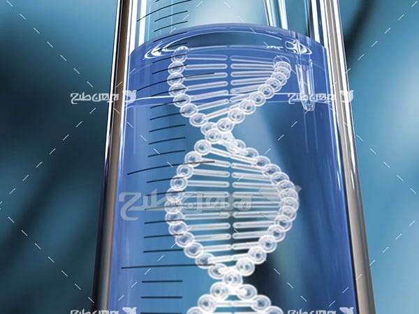 دی ان ای DNA