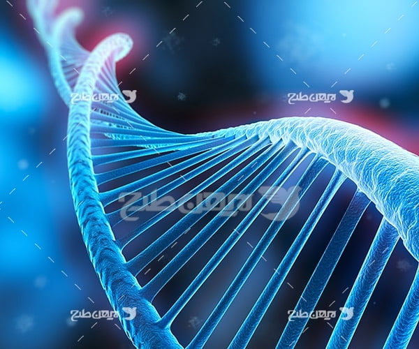 دی ان ای DNA