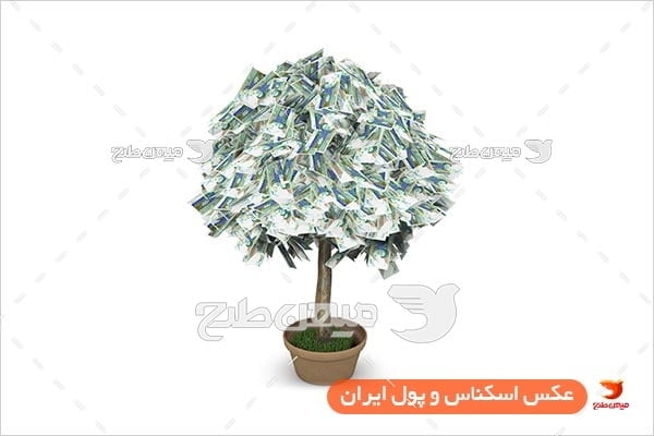 عکس اسکناس 1000 تومانی به شکل درخت