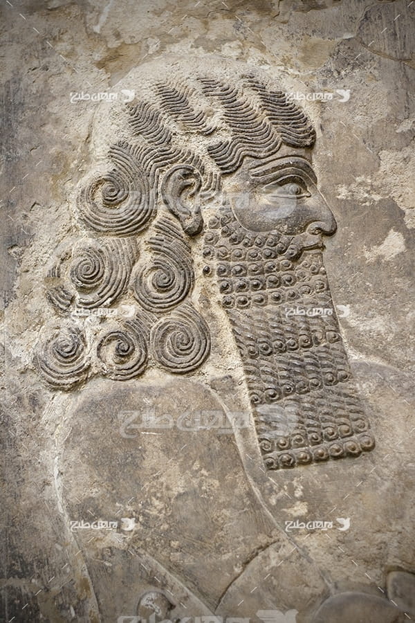 عکس نقش نگاره هخامنشی
