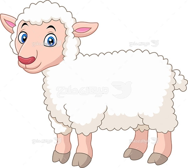 وکتور کارتونی گوسفند