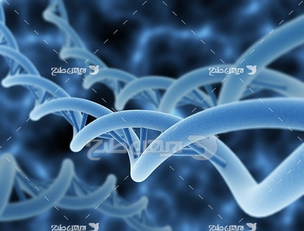 دی ان ای DNA