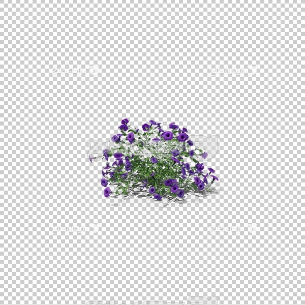تصویر سه بعدی دوربری بوته گل