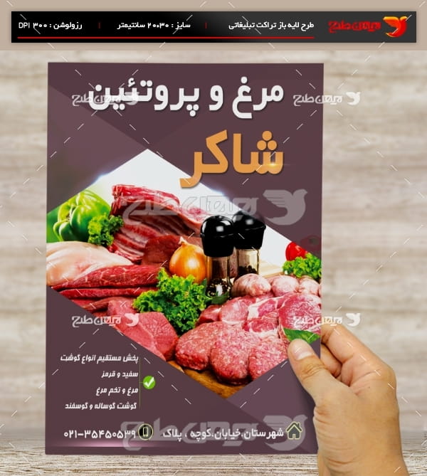 طرح لایه باز تراکت و پوستر تبلیغاتی مرغ و پروتئین