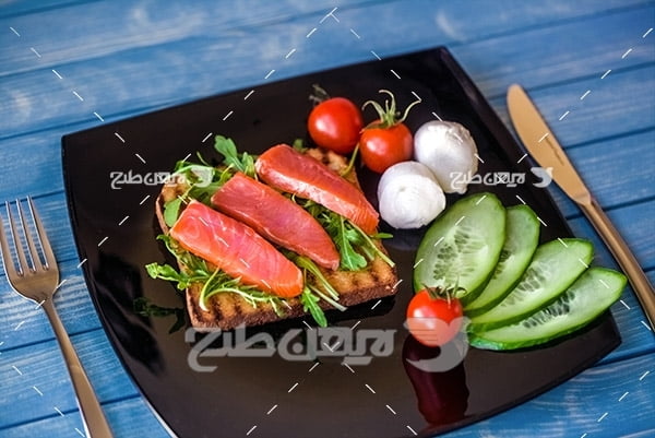 ساندویچ گوشت ماهی،خیار سبز ، گوجه فرنگی
