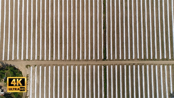 فیلم هوایی از زمین های کشاورزی