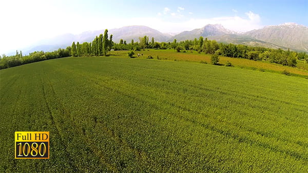 فیلم هوایی زمین های کشاورزی