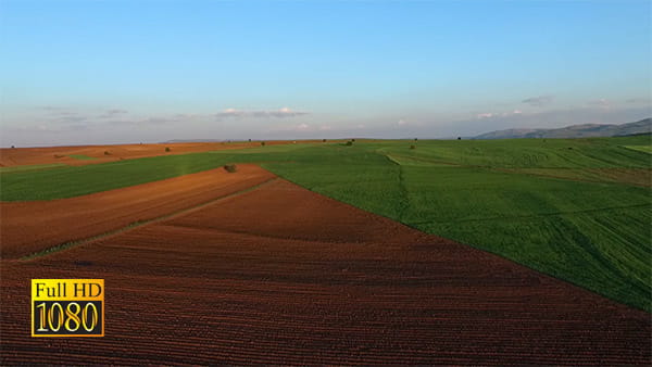 فیلم هوایی زمین های کشاورزی