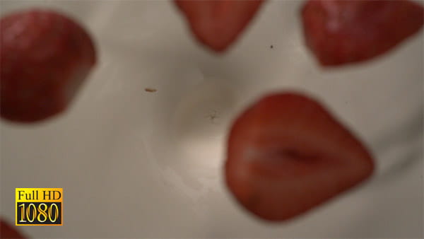 فوتیج ویدیویی اسلوموشن توت فرنگی و شیر
