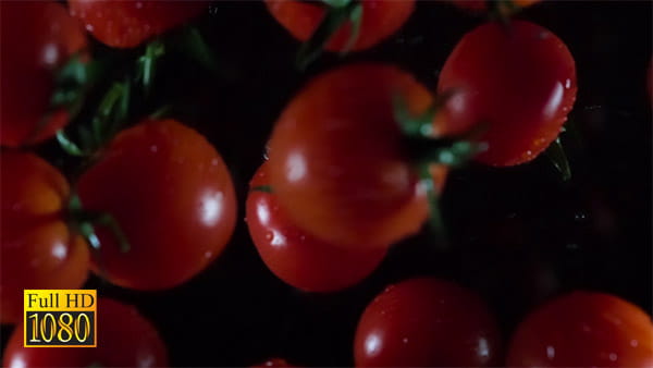 فوتیج ویدیویی اسلوموشن گوجه فرنگی