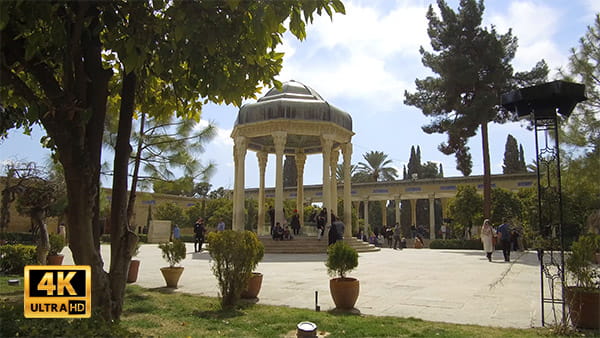 راش حافظیه